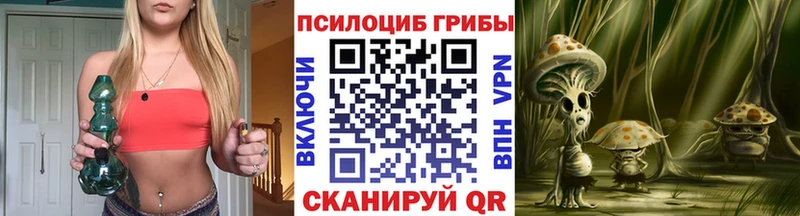 где продают   блэк спрут ССЫЛКА  Галлюциногенные грибы мицелий  Тверь 